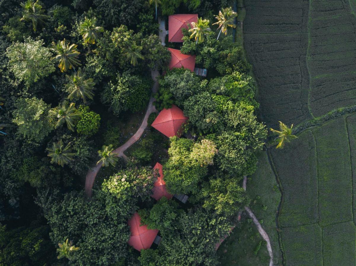 Resort Jetwing Kaduruketha 5*